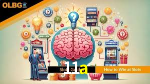 Experiência VIP 11a